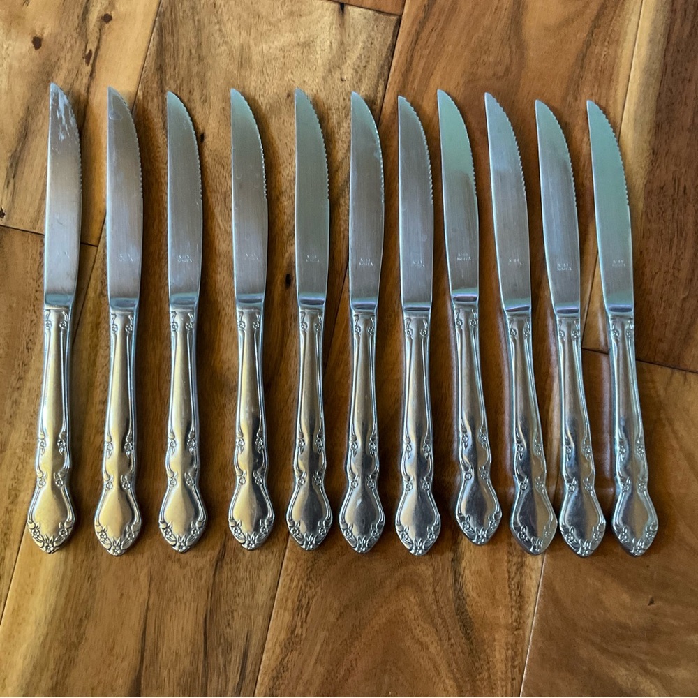 ✔️ Retroneu Jenna Stainless Flatware Steak Knives Set of 11